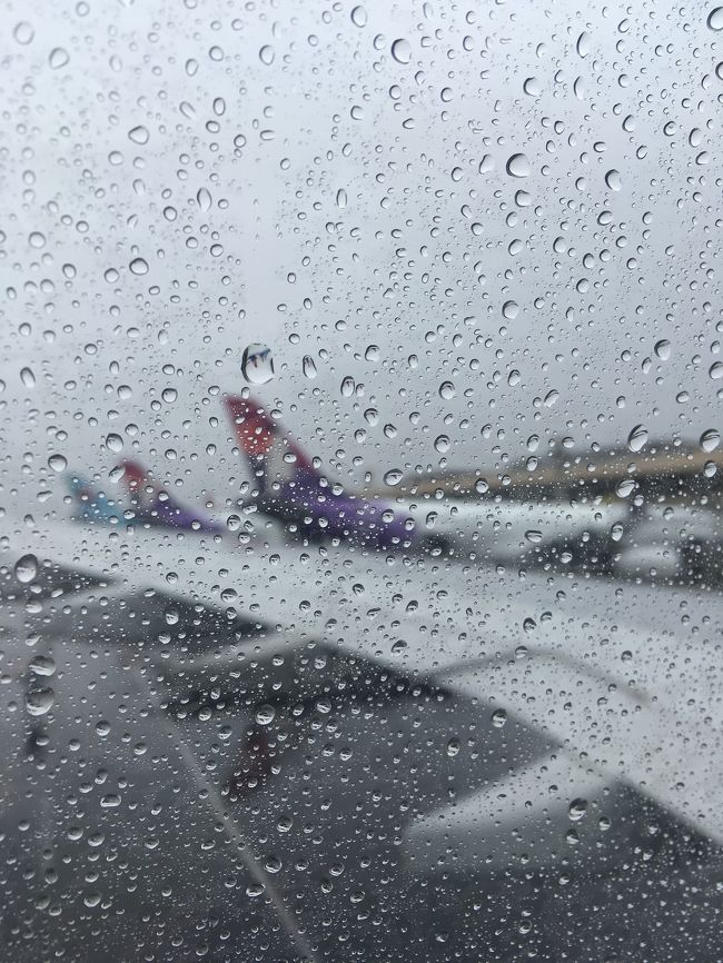 ハワイは７度目位ですが、到着時の雨って初めて(ﾟoﾟ;;