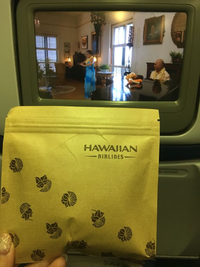 この中にはイヤホンが。