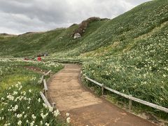 爪木崎花園