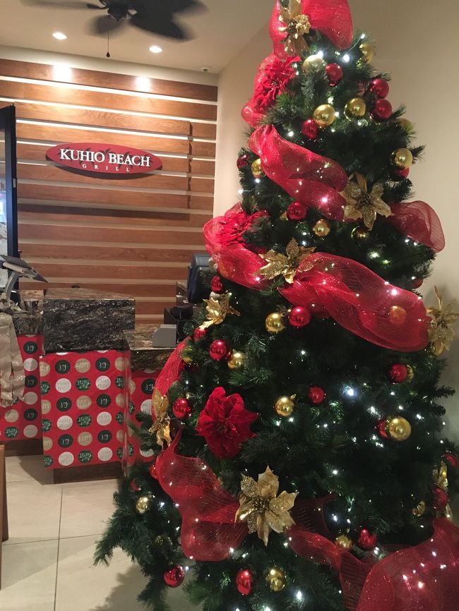 ツリーは相変わらずクリスマス過ぎてもある笑