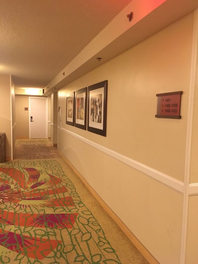 夜になったので、そろそろ夜ご飯がてら動こうと思います笑