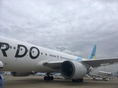 飛行機での移動