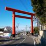 梅の時期に筑波山登山