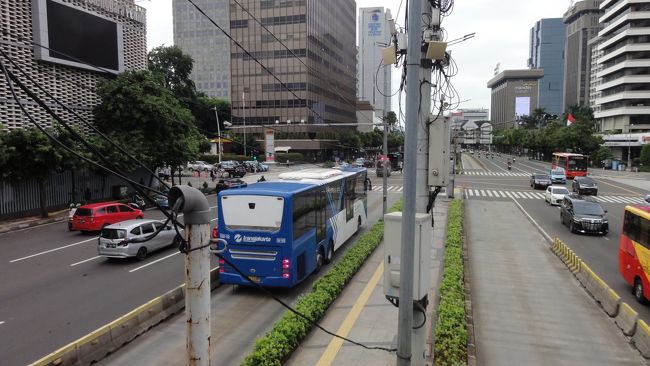 ホームの両側にバス専用レーンがあります。バスは青色の車体が多いようです。