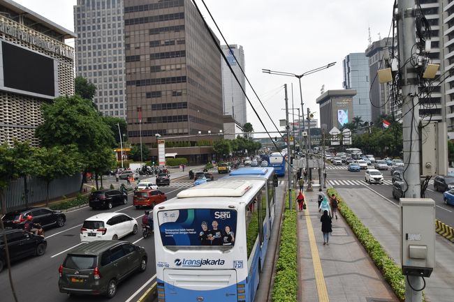 ２台連結したような大型バスもたくさん走っています。