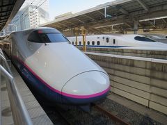 8:29　佐倉駅発
9:25　東京駅着
10:00　東京駅　やまびこ133号