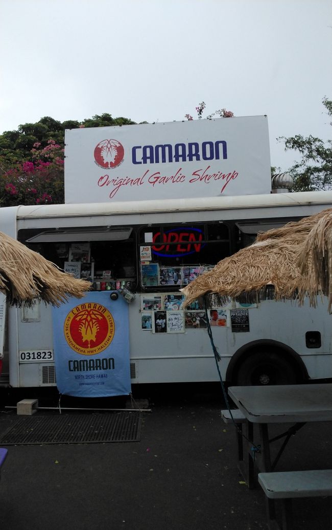 ノースショア乗馬　海辺乗馬ー45分コース（VIPツアー）<br /><br />昨年が楽し過ぎたので「うちだ」さんをリクエストしてエントリー<br />ギャレンティーが出来ないと回答<br />まっ！仕方ないよね<br />が<br />最悪のアテンド（怒）<br />バスの運転中<br />「ハレイワ・タウンでランチの時間が短いので電話でシュリンプを頼むか？」<br />って<br />フリフリチキンの為にこの曜日にしたのに！<br /><br />