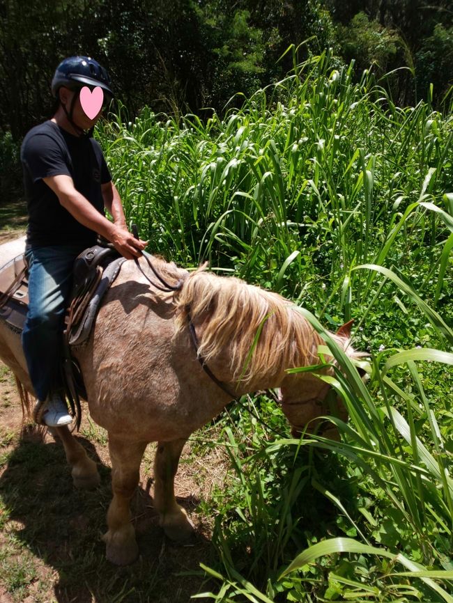 タートル・ベイで海辺乗馬<br /><br />45分なのに３０分に短縮された（怒）<br />で<br />チップを20ドル渡す様に言われた（怒）<br />チップは私の気持ちだよね！<br />自分にもくれって事なの（怒）<br />