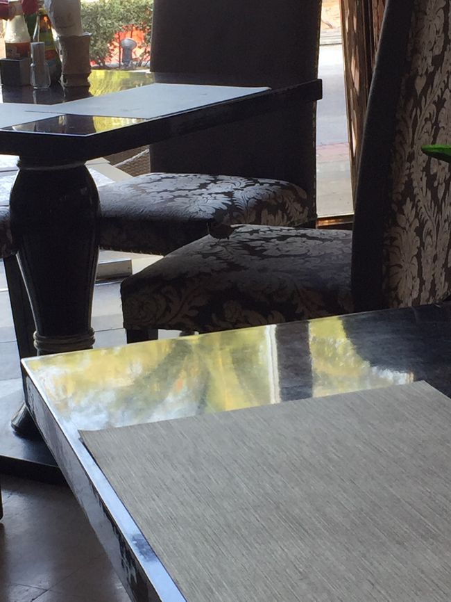 スズメが毎日やってきます。和み時間。