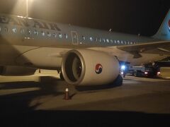 予定通り釜山金海国際空港に到着しました。
沖止めです。

ここから9時間の滞在が始まります。