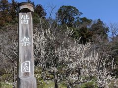 神社から橋を渡って偕楽園へと向かいます。