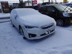 前日に降った雪が車に積もって大変・・・。