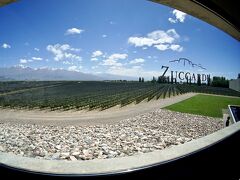 【気鋭のワイナリー：スッカルディ：Familia Zuccardi (Uco Valley)】

ウヒョォ～爽やか....やっぱ、外はええなぁぁ～