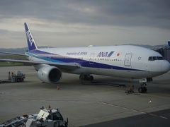 ●ANA1731便＠関西国際空港

搭乗する那覇行の飛行機です。
やっほ～い、777-200。
