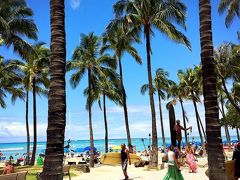 空の青

海の水色

ヤシの木

The Hawaii の景色です。