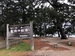 次は敦賀市内に移動。
日本三大松原のひとつ、「氣比の松原」にいきました。
私個人では、これで三大松原制覇です。