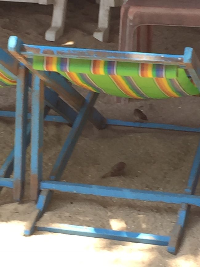 こちらのタイプのチェアーは40バーツだったかな？60バーツだったかな？