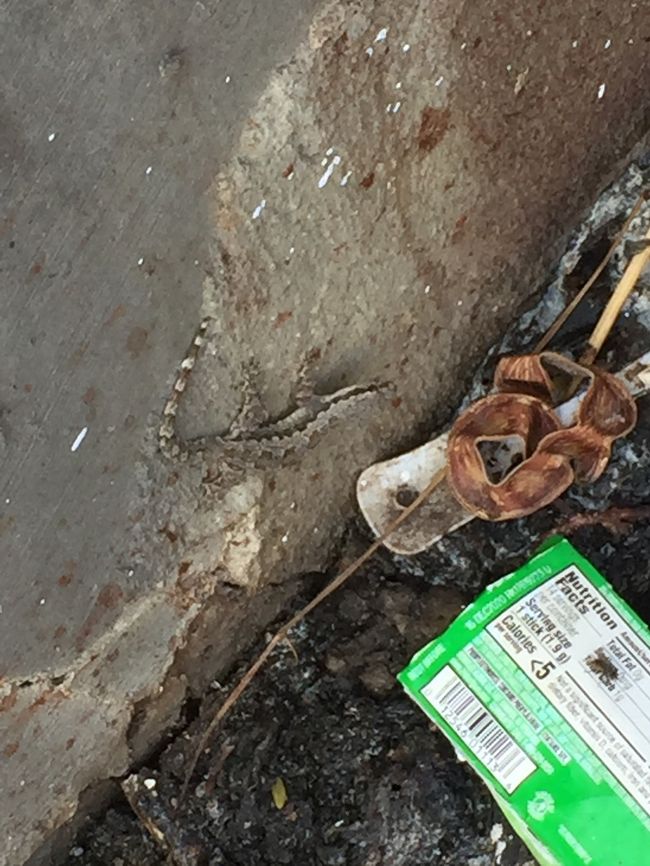 ズーム！<br />見えますか？