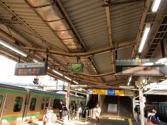 家の近所の戸塚駅に車を停めて、出発。

左：湘南新宿ライン、横須賀線　右：上野東京ライン、東海道線
行先がどちらも高崎線。私は右側に乗ります。

戸塚 07:48発 － 高崎10:15着（上野から先は「快速アーバン」）

上野東京ラインはよく遅れることで悪評が高いものの、この日は定刻通り来ました。時間はかかりますが、乗り換えなしは便利。
グリーン車乗ります。