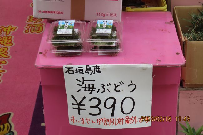 石垣島産　海ぶどう