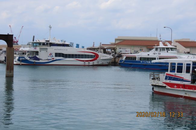 昼食後に桟橋付近を歩きました。 高速フェリーが見られます。