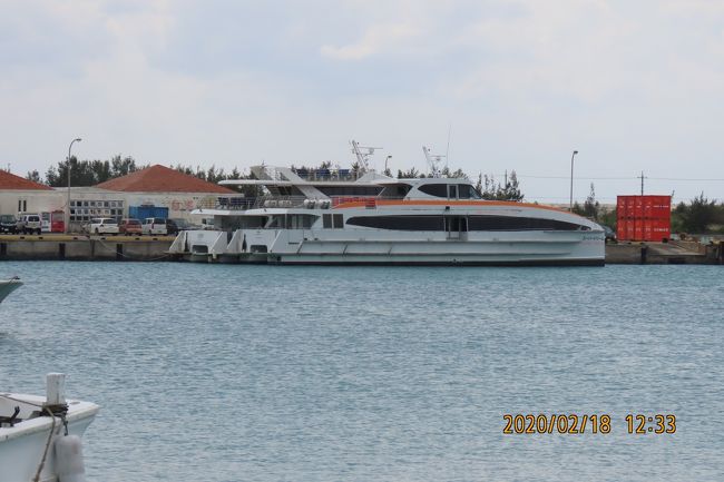 大型フェリーも見られます。