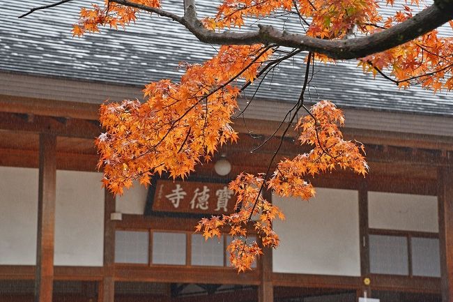 毎年恒例の秋の紅葉巡り りんご狩り19 １ 宝徳寺 高津戸峡ー 桐生 群馬県 の旅行記 ブログ By ダイスケitさん フォートラベル