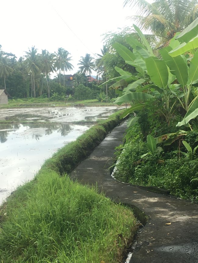 いい風景です。