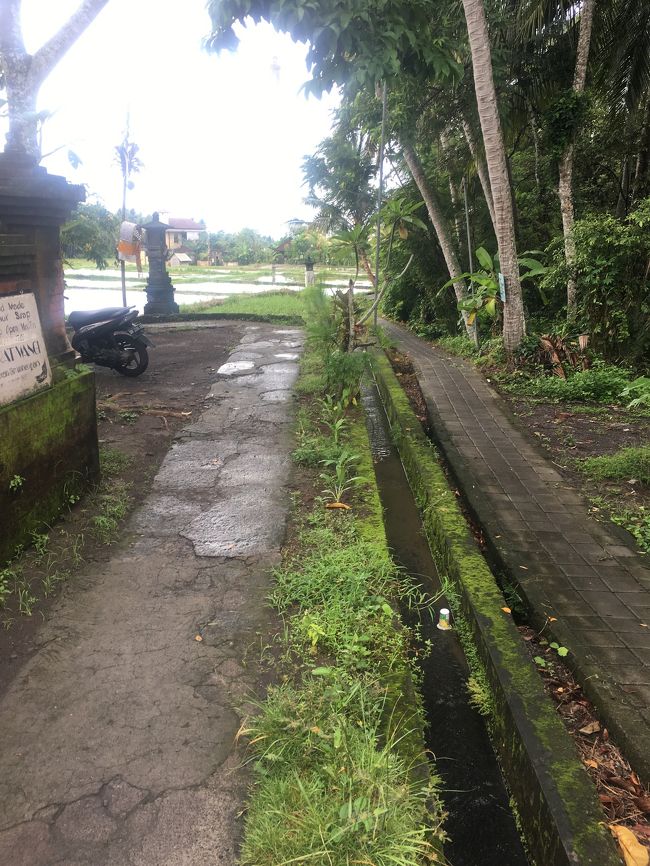 今日はこの後も目的があるのです。<br />ブラットワンギに行くには左、私は右の分岐を進みます。