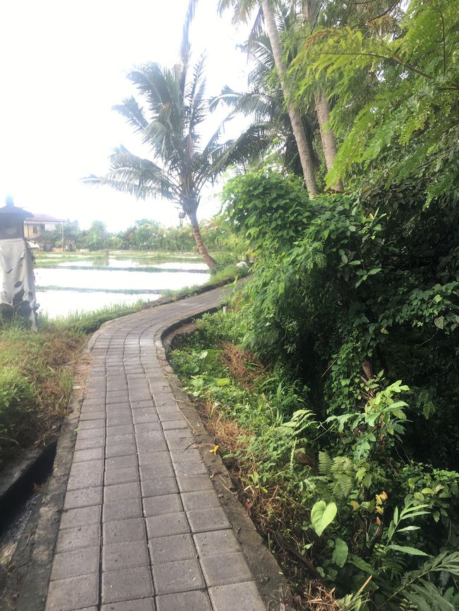 ひたすら進みます。