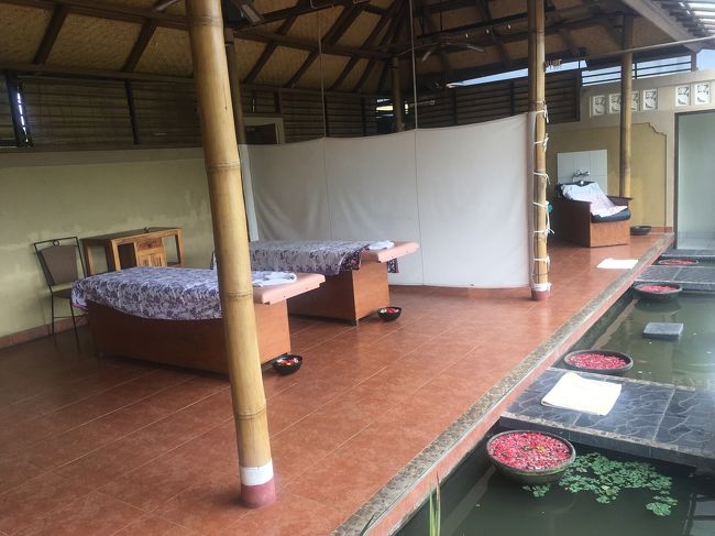 着きました！ベジアユアウトドアスパです。