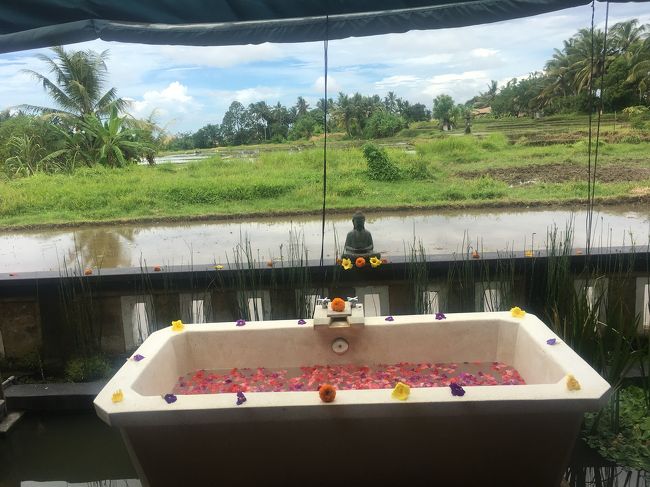 マッサージの後はスクラブを塗って、擦り落としてからシャワーを浴びます。その後見た目も匂いもどうみてもブルーベリーヨーグルトを渡されるので、そちらを塗りたくってまた流します。<br />ツルツルです。<br /><br />最後にフラワーバスに移動します！<br />いいですね～テンション上がります。