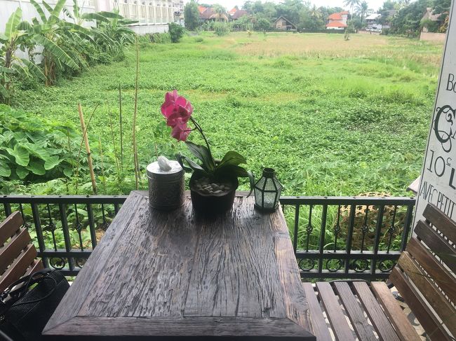 ニュークニンの抜け道を戻って、モンキーフォレスト通りへ。そのまま宿へ戻るのもなあ、とCafe du Monyetへ。<br />オーナーさん？格好良い白人さんがメニュー見てたらどうぞ中へ！って言ってくれたのでフラフラ入った笑<br /><br />遠くに田んぼビューかな？<br />雰囲気があって素敵。ちょうど良い席を確保できました。