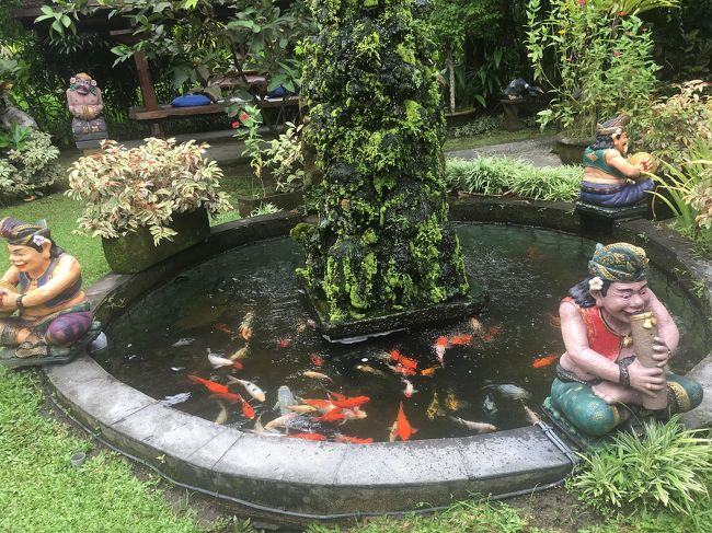 鯉が沢山いる池まであります。