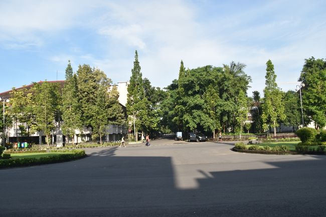 朝起きて大学構内を散歩。