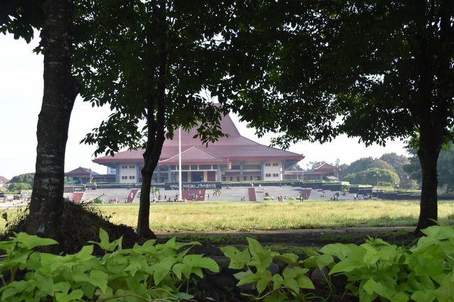 大学本部のある建物。