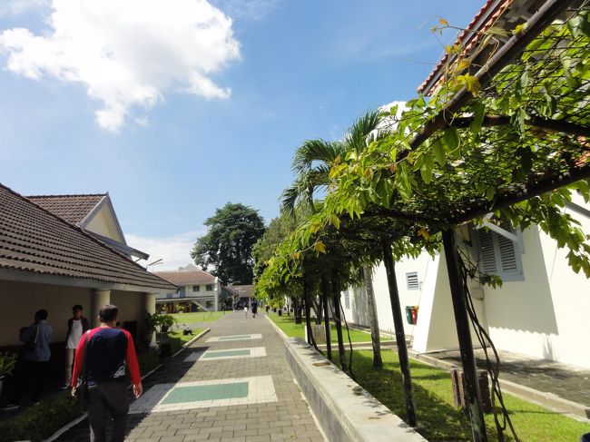 やはり南国、博物館内はエアコンが効いて涼しいが、外は朝から暑い。