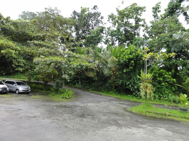 今日は友人のお孫さんの誕生日とのことで、誕生日のパーティーに招待され、郊外のレストランへむかった。