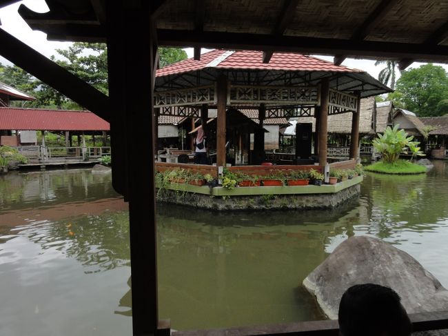 生演奏をしている池の中の島。