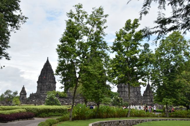 木々の間より塔が見える。