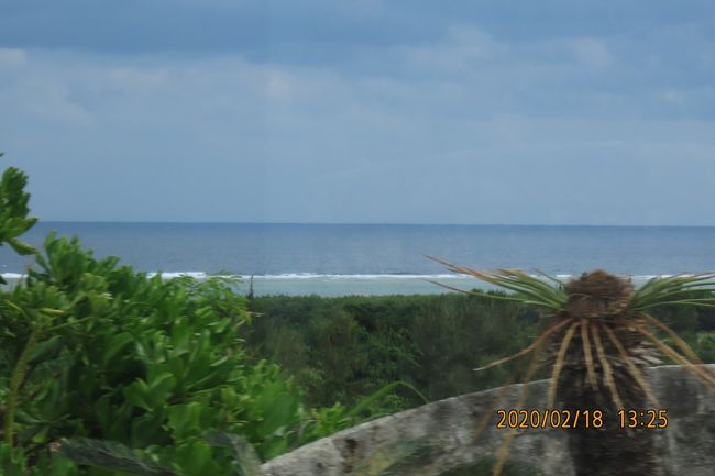 サンゴ礁の海が見られます。