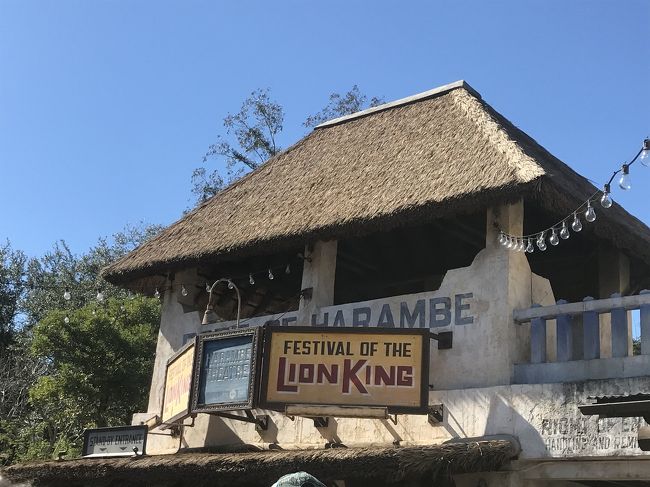 ライオンキングのシアターへ