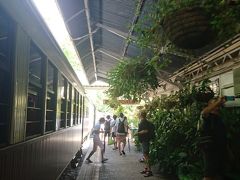 定刻通りに緑がいっぱいのキュランダ駅に到着。