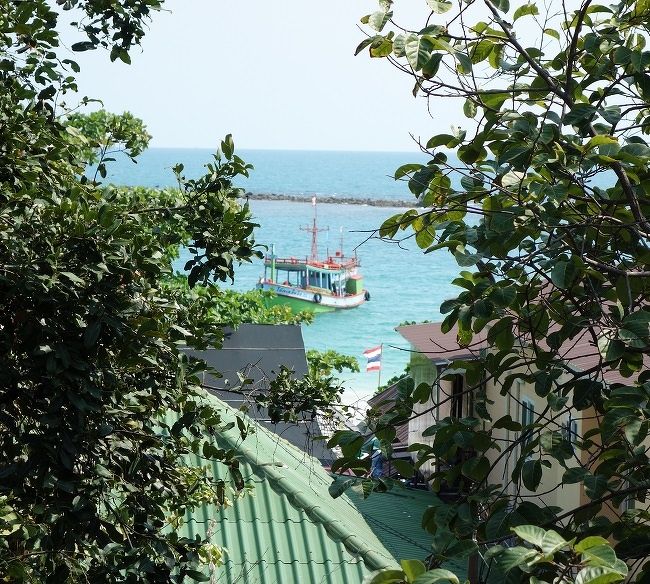 3階のテラスから