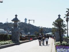 江の島大橋を渡り江の島へ

激混みではありませんが、そこそこ人が出ています。
これくらいであれば、「濃厚接触」には当たらないですね。