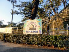 途中に桂浜水族館があります。
飼育員さんのツイートが楽しいということで話題の水族館です。
いきものは少なめで、生き物より飼育員さんの方が人気？
https://www.katurahama-aq.jp/

ツイッターは
https://twitter.com/katurahama_aq