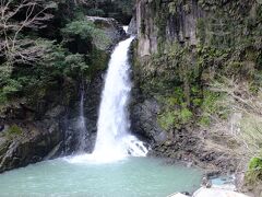 最後は大滝です。
河津七滝の中で一番大きな滝で落差３０メートルも有ります。
この滝だけは私有地に展望台が有ります。
無料で開放されていますが、滝壺の横には水着で入るホテルの露天風呂が有りました。