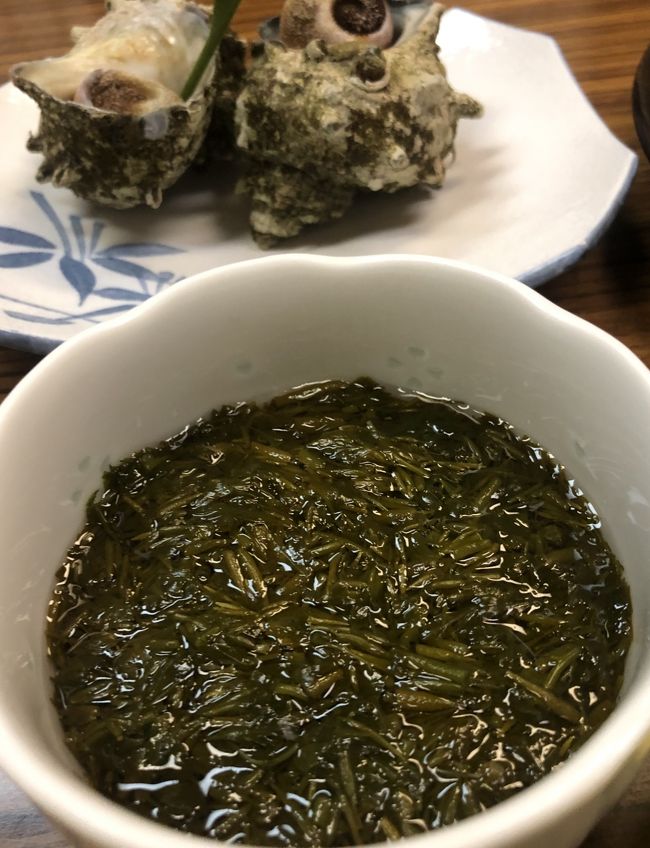 冬の越後 粟島と村上 離島と鮭文化の街へ 1 村上 岩船 新潟県 の旅行記 ブログ By Komabaanさん フォートラベル