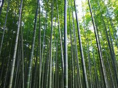 若竹の杜 若山農場