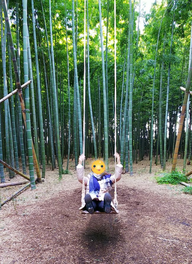 栃木周遊日帰りドライブ いちごと竹と大谷石 締めに蓮田ではまぐりラーメン 宇都宮 栃木県 の旅行記 ブログ By ちぃさん フォートラベル